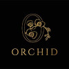 Orchids Gold
