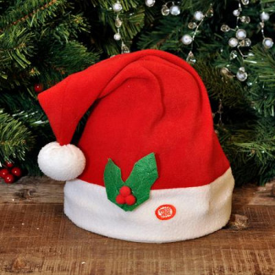 Музикална шапка 
CK41