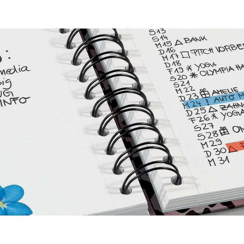 Бележник Sigel - Jolie Leo, A5, твърди корици, спирала